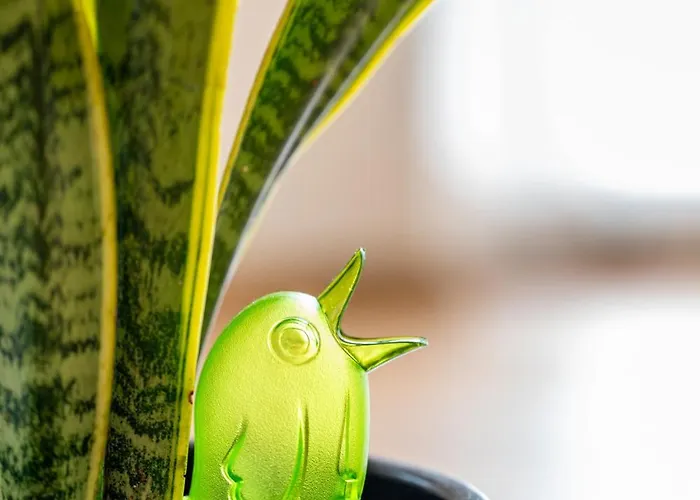 Csicsergő * Zamárdi